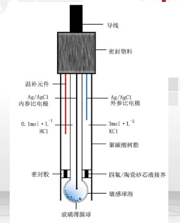 電極圖解