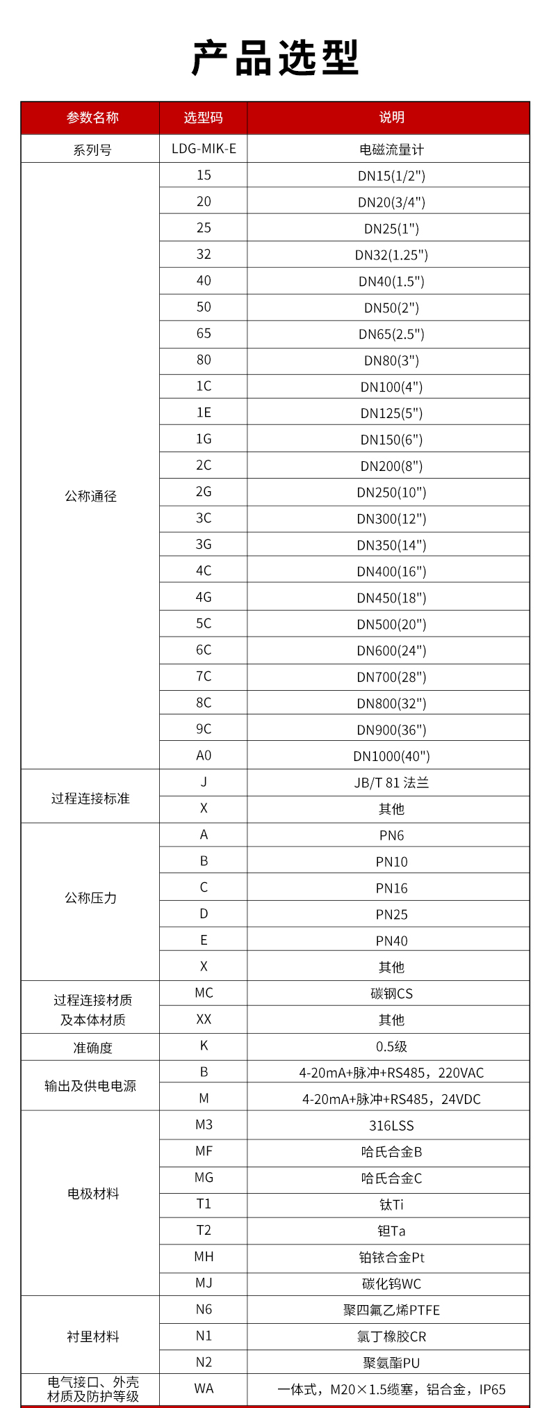 LDG-MIK-E電磁流量計(MY)1.jpg